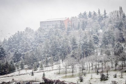 Primeros copos de nieve que han teñido de blanco la capital soriana.