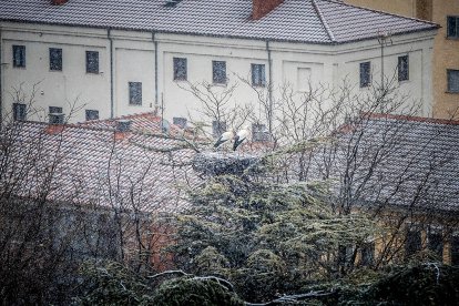 Primeros copos de nieve que han teñido de blanco la capital soriana.