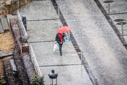Primeros copos de nieve que han teñido de blanco la capital soriana.
