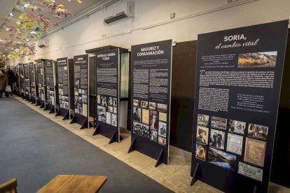 La exposición está ubicada en la galería porticada del Instituto