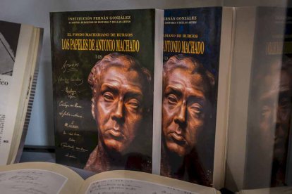La exposición está ubicada en la galería porticada del Instituto