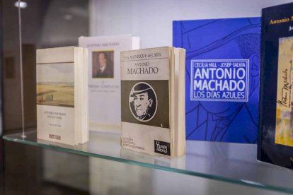 La exposición está ubicada en la galería porticada del Instituto