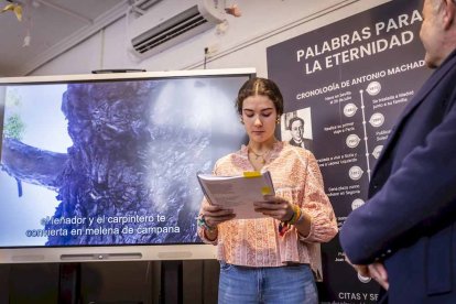 La exposición está ubicada en la galería porticada del Instituto