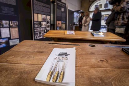 La exposición está ubicada en la galería porticada del Instituto