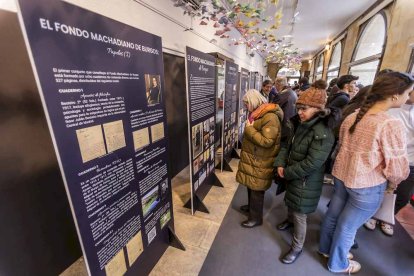 La exposición está ubicada en la galería porticada del Instituto