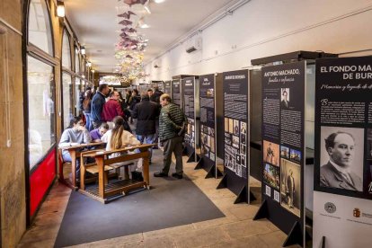 La exposición está ubicada en la galería porticada del Instituto
