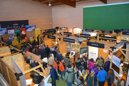 La de Abejar es la única feria monoespecífica de la trufa que se celebra en Castilla y León