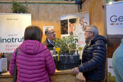 La de Abejar es la única feria monoespecífica de la trufa que se celebra en Castilla y León