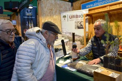 La de Abejar es la única feria monoespecífica de la trufa que se celebra en Castilla y León