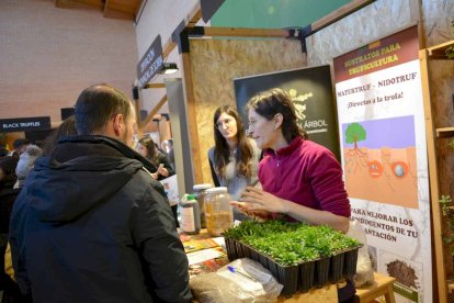 La de Abejar es la única feria monoespecífica de la trufa que se celebra en Castilla y León
