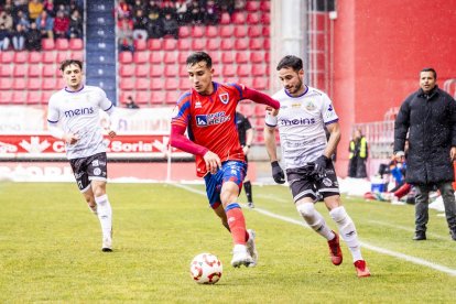 Buen partido de los rojillos bajo la nieve