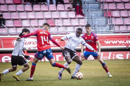Buen partido de los rojillos bajo la nieve