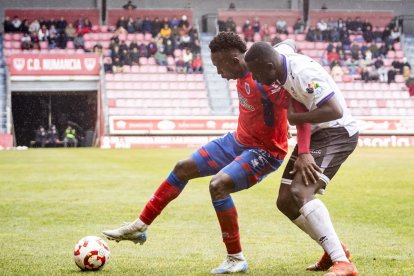 Buen partido de los rojillos bajo la nieve