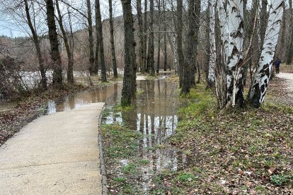 El Duero ya fuera de su cauce en la zona del Perejinal.