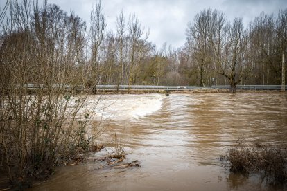 La Confederación Hidrográfica del Duero recomienda extremar la precaución en todo el cauce.
