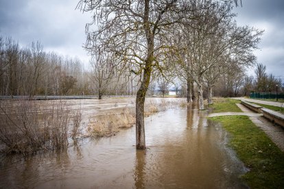 La Confederación Hidrográfica del Duero recomienda extremar la precaución en todo el cauce.