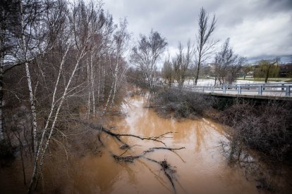 La Confederación Hidrográfica del Duero recomienda extremar la precaución en todo el cauce.