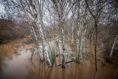 La Confederación Hidrográfica del Duero recomienda extremar la precaución en todo el cauce.
