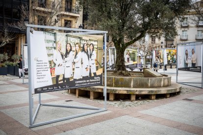 La muestra puede verse en la plaza del Olivo hasta el 11 de abril.