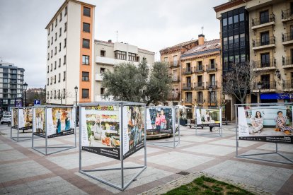 La muestra puede verse en la plaza del Olivo hasta el 11 de abril.