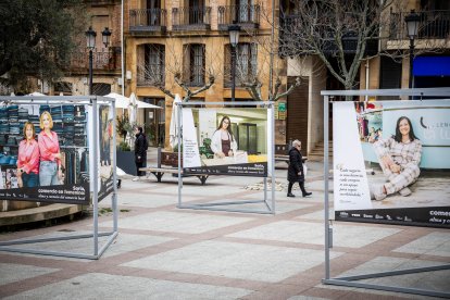 La muestra puede verse en la plaza del Olivo hasta el 11 de abril.