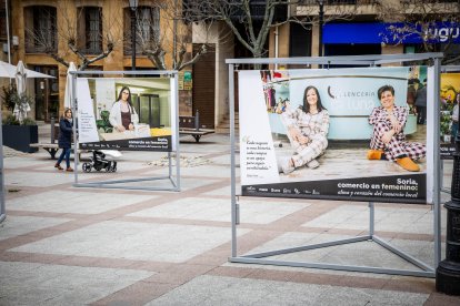 La muestra puede verse en la plaza del Olivo hasta el 11 de abril.