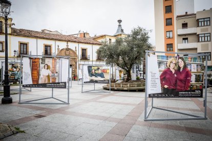 La muestra puede verse en la plaza del Olivo hasta el 11 de abril.