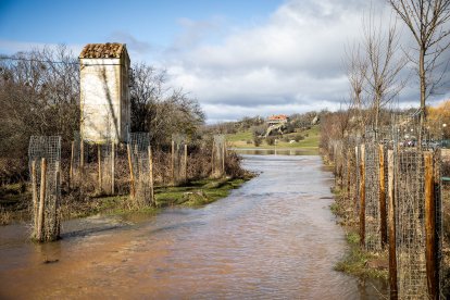 La borrasca Jana desborda las márgenes del Duero y alguno de sus afluentes en Soria.