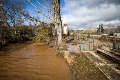 La borrasca Jana desborda las márgenes del Duero y alguno de sus afluentes en Soria.