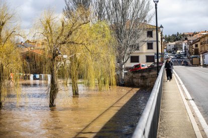 La borrasca Jana desborda las márgenes del Duero y alguno de sus afluentes en Soria.