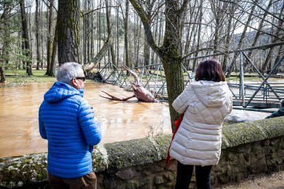 La borrasca Jana desborda las márgenes del Duero y alguno de sus afluentes en Soria.
