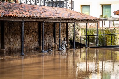 La borrasca Jana desborda las márgenes del Duero y alguno de sus afluentes en Soria.