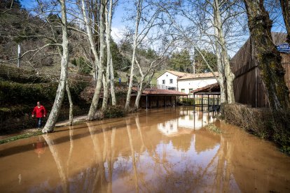 La borrasca Jana desborda las márgenes del Duero y alguno de sus afluentes en Soria.