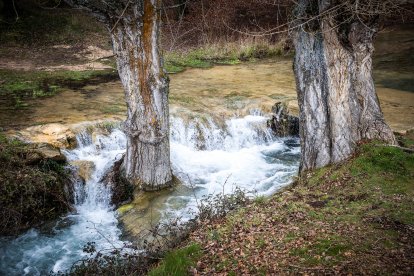 Las lluvias hacen que el agua surja con fuerza de entre las rocas aumentando la belleza de este entorno.