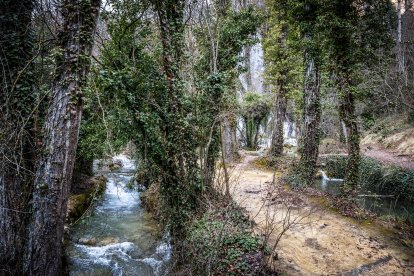 Las lluvias hacen que el agua surja con fuerza de entre las rocas aumentando la belleza de este entorno.