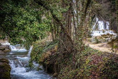 Las lluvias hacen que el agua surja con fuerza de entre las rocas aumentando la belleza de este entorno.