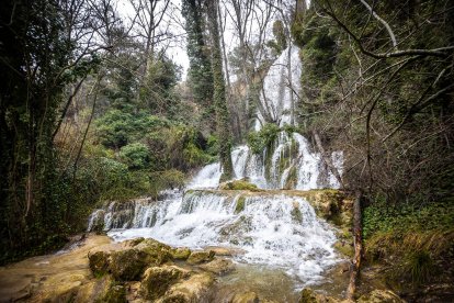 Las lluvias hacen que el agua surja con fuerza de entre las rocas aumentando la belleza de este entorno.