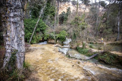 Las lluvias hacen que el agua surja con fuerza de entre las rocas aumentando la belleza de este entorno.