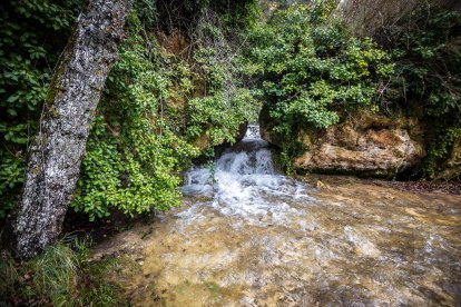 Las lluvias hacen que el agua surja con fuerza de entre las rocas aumentando la belleza de este entorno.