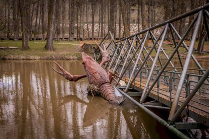 Un paseo junto al Duero sirve como muestra de la bravura de las aguas