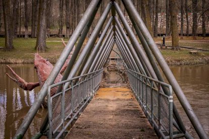Un paseo junto al Duero sirve como muestra de la bravura de las aguas