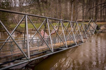 Un paseo junto al Duero sirve como muestra de la bravura de las aguas