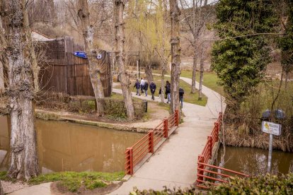 Un paseo junto al Duero sirve como muestra de la bravura de las aguas