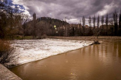 Un paseo junto al Duero sirve como muestra de la bravura de las aguas