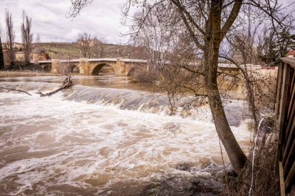 Un paseo junto al Duero sirve como muestra de la bravura de las aguas