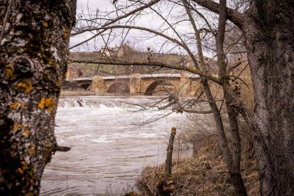 Un paseo junto al Duero sirve como muestra de la bravura de las aguas