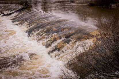 Un paseo junto al Duero sirve como muestra de la bravura de las aguas