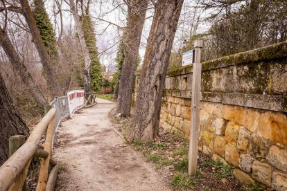 Un paseo junto al Duero sirve como muestra de la bravura de las aguas