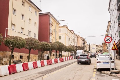 Estas son las zonas sujetas a la subvención