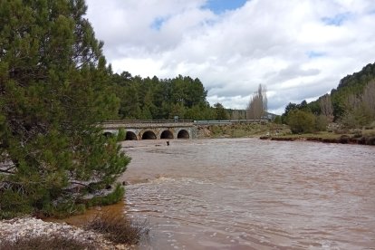 El río Lobos en el término de Santa María de las Hoyas esta semana.